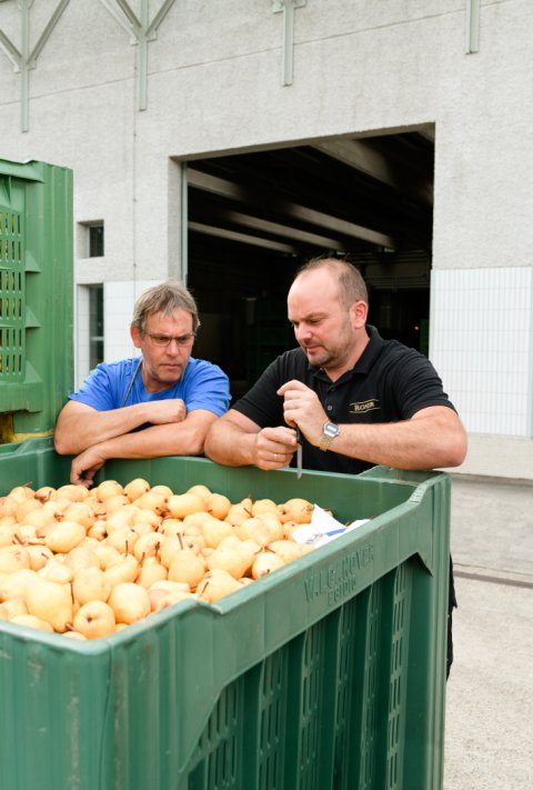 William Pears dsc1966_c_hannesrohrer_web.jpg